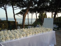 /album/galleria-fotografica/dsc02035-jpg/