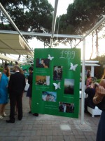 /album/galleria-fotografica/dsc02040-jpg/